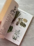 Лековити билки| Как народът се лекува , снимка 11