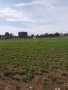 Супер атрактивна земя село Яребичнa 3 430kв м, снимка 5