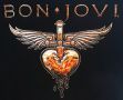 Тениска групи Bon Jovi. Tour 2011, снимка 4