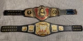 WWE Championships, снимка 2
