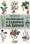 Разпознаване и събиране на билки: Цветко Кънчев, снимка 1