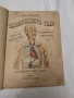 "ЧЕЛОВЕЧЕСКОТО ТЕЛО", написана от д-р Шмид. 1899 г, снимка 1
