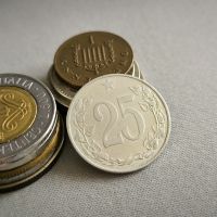 Mонета - Чехословакия - 25 халера | 1953г., снимка 1 - Нумизматика и бонистика - 45495775