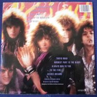 грамофонни плочи Bon Jovi, снимка 2 - Грамофонни плочи - 45351971