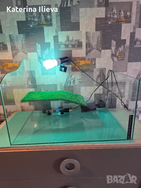 Оборудван терариум 60х40см., снимка 1