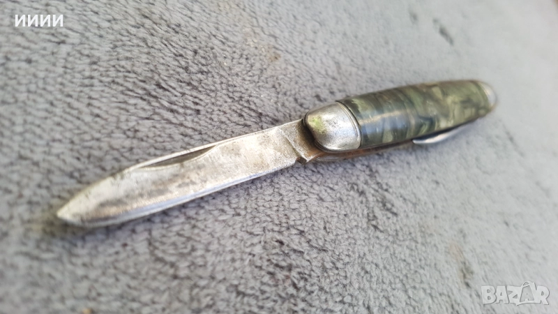 Ножка британска, снимка 1