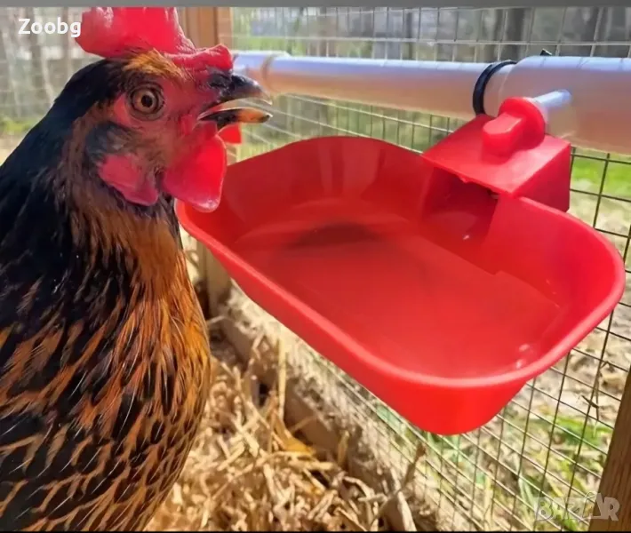 екстра голям размер поилки за кокошки и пуйки, снимка 1
