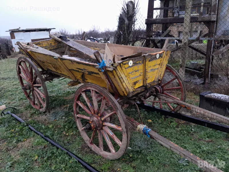 Продавам женско Магаре, със каруцата и амуниция , снимка 1