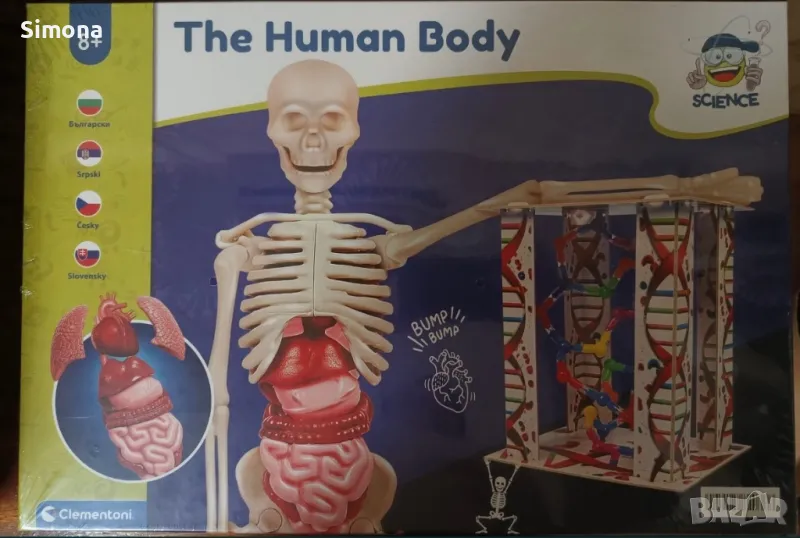 Образователна игра The human body, снимка 1