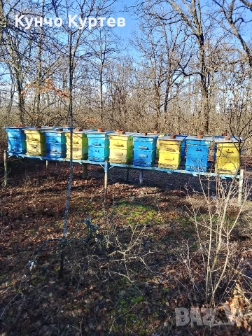 пчелни кошери