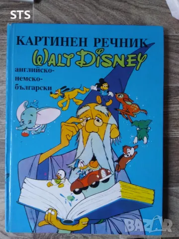 Картинен речник за деца, снимка 1 - Детски книжки - 47076457