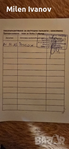 Джак Ръсел териер, снимка 5 - Джак ръсел териер - 52710876