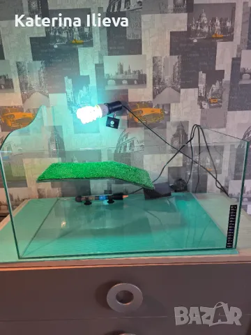 Оборудван терариум 60х40см., снимка 1