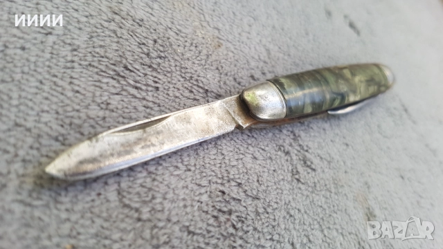 Ножка британска