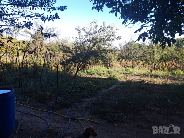 Къща с дворно място - с. Смочан, Ловешко, снимка 9 - Парцели - 52295864