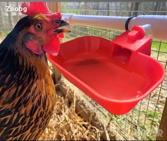 екстра голям размер поилки за кокошки и пуйки