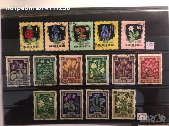 Флора - цена на всяка снимка!, снимка 13 - Филателия - 53456665