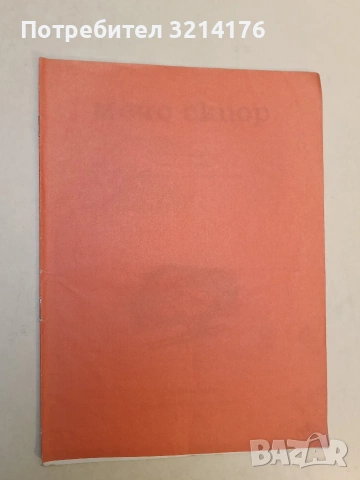 Мечо скиор - Г. Фалцоне Фонтанели (Отлично състояние, 1976), снимка 2 - Детски книжки - 53011063