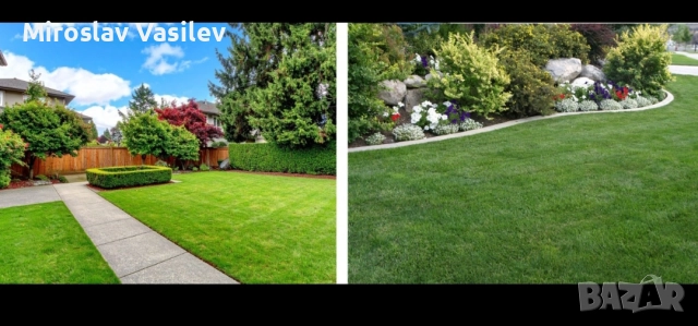 Поддръжка на зелени площи | Почистване на листа | Почистване на сняг, снимка 4 - Други почистващи услуги - 52960849