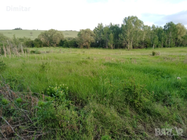 Продавам Парцел 1600 кв.м с.Дралфа, снимка 3 - Парцели - 50492776