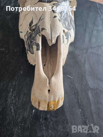 Конски череп за декорация - ръчно рисуван, снимка 7 - Декорация за дома - 51777796