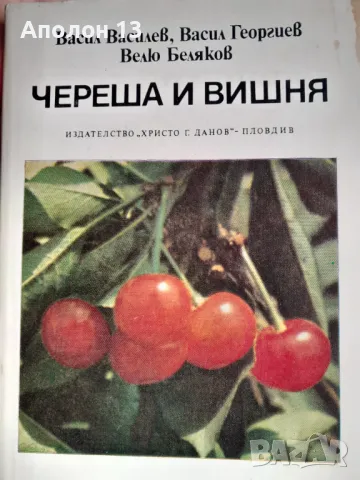 Череша и вишняВасил Василев, Васил Георгиев, Велю Беляков, снимка 1 - Специализирана литература - 49255289