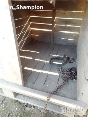 Кучешка колиба , снимка 4 - За кучета - 52953490