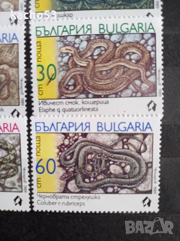 1989 г. Змии . България., снимка 5 - Филателия - 45381514