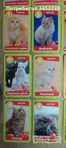 карти за колекционери 19 броя , снимка 5 - Колекции - 52957692
