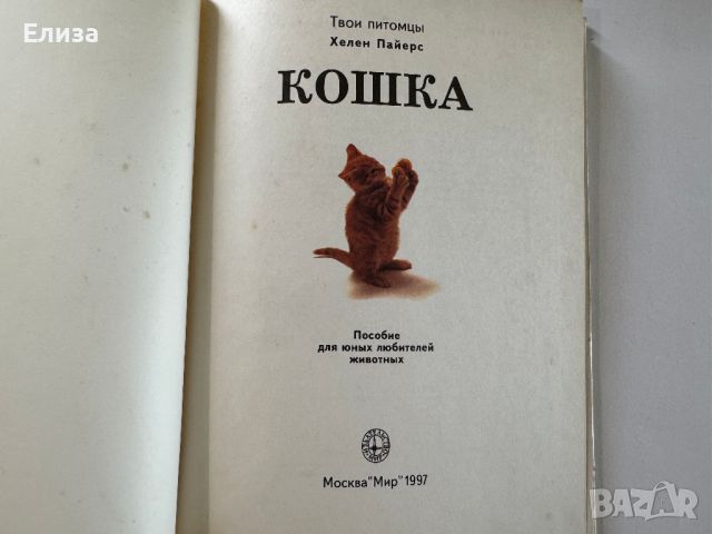 Кошка. Песчанки. Книга 2 в 1, снимка 5 - Енциклопедии, справочници - 45608111