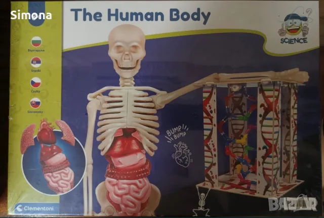 Образователна игра The human body, снимка 1 - Образователни игри - 48158675