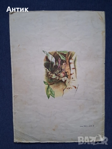 Стари Детски Книжки с Приказки Шарл Перо Червената Шапчица Новите Дрехи на Царя, снимка 4 - Детски книжки - 52903022