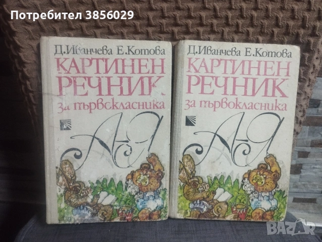 картинен речник 2броя и родна реч, снимка 2 - Специализирана литература - 53507864
