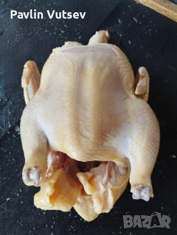 пилета, снимка 2 - Кокошки и пуйки - 52416754