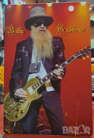 Billy Gibbons-метална табела (плакет), снимка 1 - Китари - 45687455