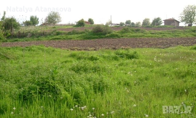 Парцел за продажба в Дряновец, област Добрич, снимка 3 - Парцели - 53656583