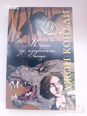 Книга за изгубените неща