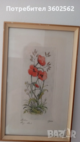 две офортни графики - ръчно оцветени , подписани, снимка 5 - Картини - 51729883