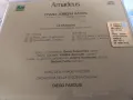 HAYDN, снимка 9