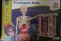 Образователна игра The human body, снимка 1