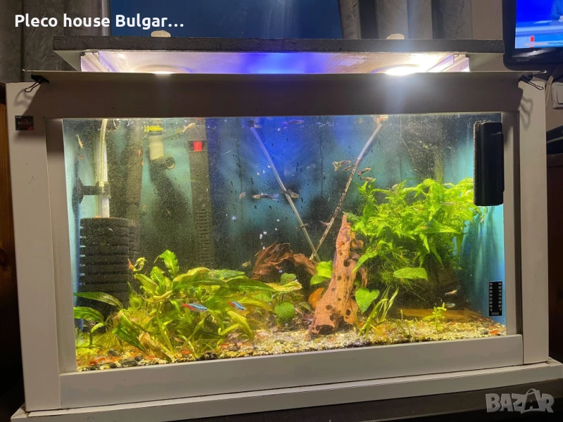 Аквариум 72 литра, снимка 1