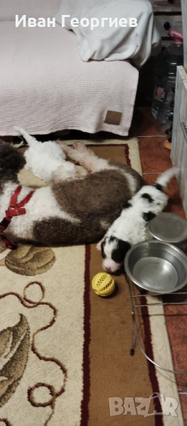 Лагото Романьоло , снимка 1