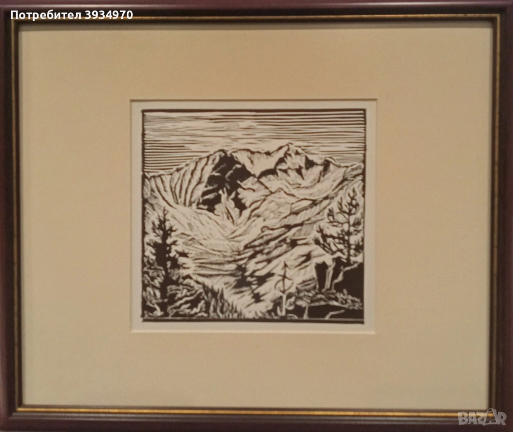 Картина Зафир Йончев, снимка 1