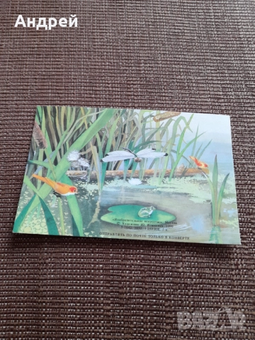 Стара Руска поздравителна картичка #3, снимка 3 - Колекции - 52565785