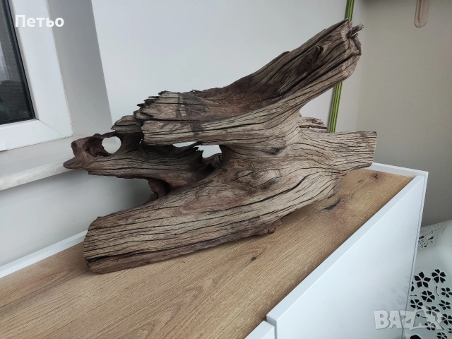 Голям мангров корен, снимка 3 - Оборудване за аквариуми - 53931517