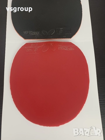 Butterfly Tenergy 05