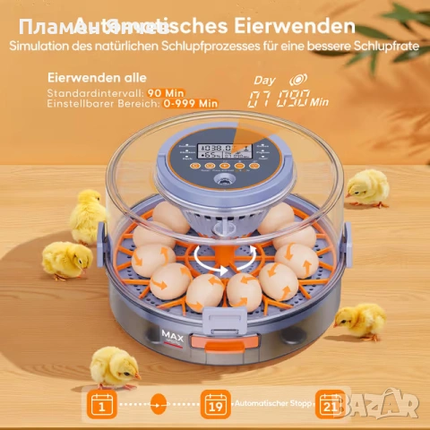 Автоматичен инкубатор за 12 яйца с автоматично завъртане , снимка 3 - За птици - 53636928