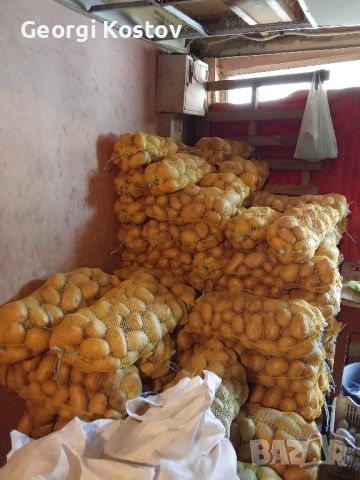 Картофи от производител , снимка 3 - Домашни продукти - 51990328