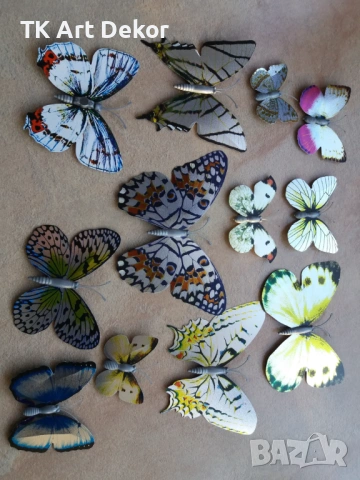 3D пеперуди (декорация, стикери), снимка 5 - Декорация за дома - 53895725