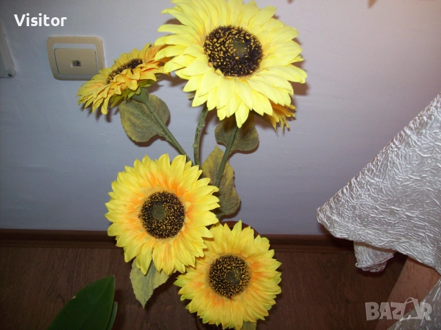 Kodak EasyShare C713, снимка 12 - Фотоапарати - 53432963